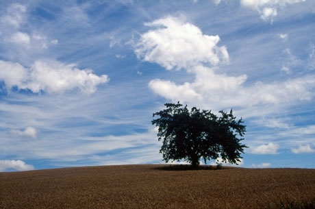 Rural landscape metz lorraine photo