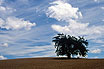 Rural Landscape Metz Lorraine