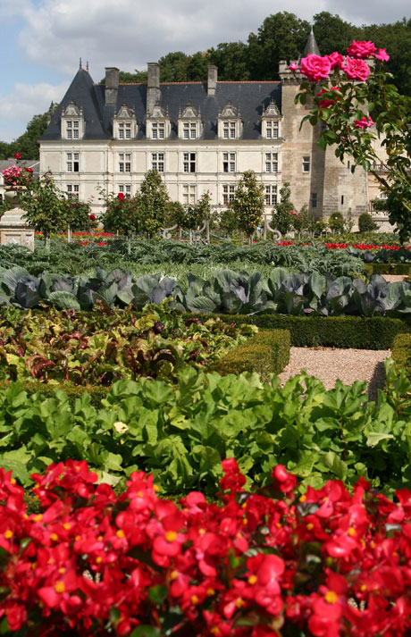 Villandry castle france photo